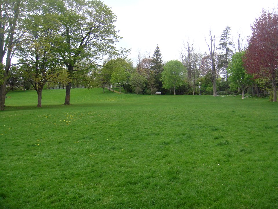 King George Park, Westmount - 02
