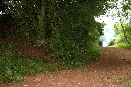 King's Castle Hillfort earthwork