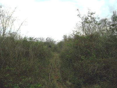 Kininché, Yucatán (01)