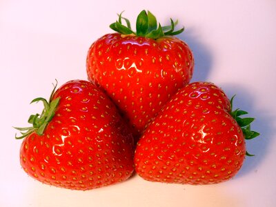 Sweet delicious berry