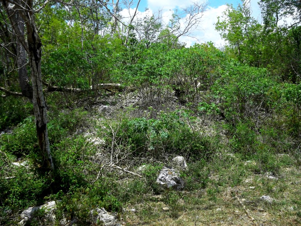 Kintunich, Yucatán (12)