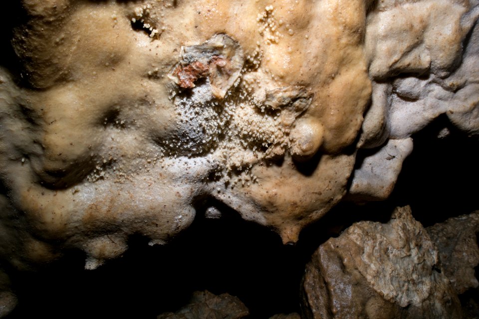 Kirchenweghöhle (C 17) 135