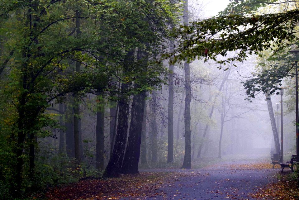 Magical climate autumn