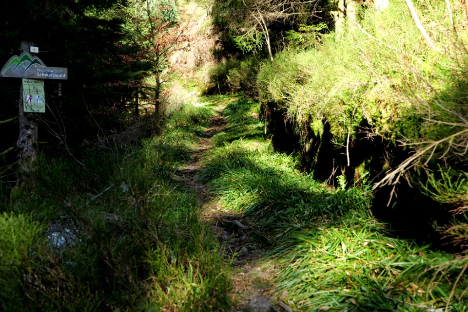 Kirchweg Northern Black Forest 2020-03-15 02