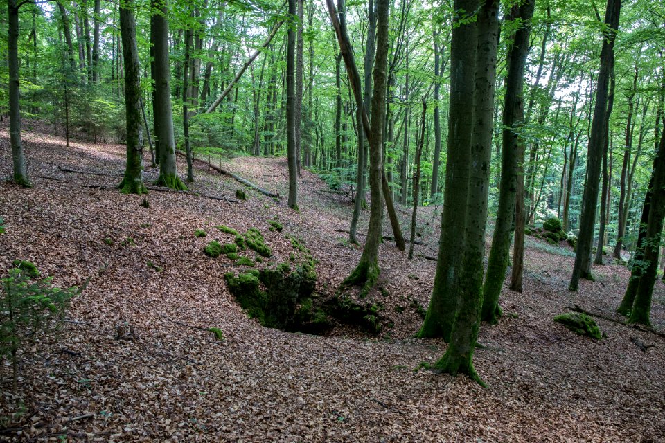 Kirchenweghöhle (C 17) 003