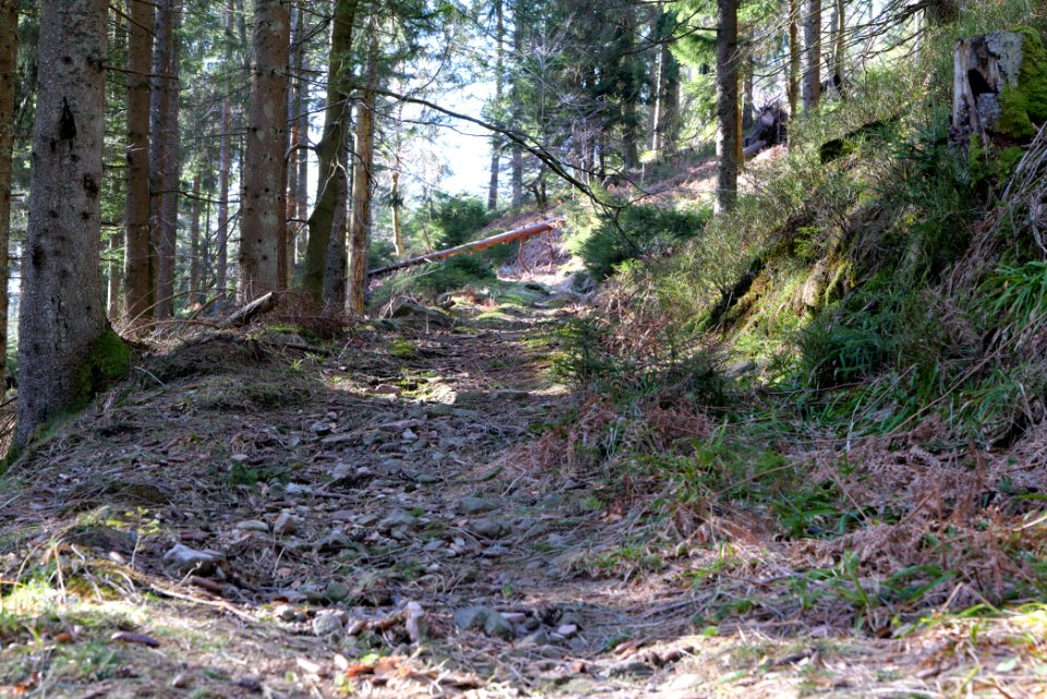 Kirchweg Northern Black Forest 2020-03-15 06