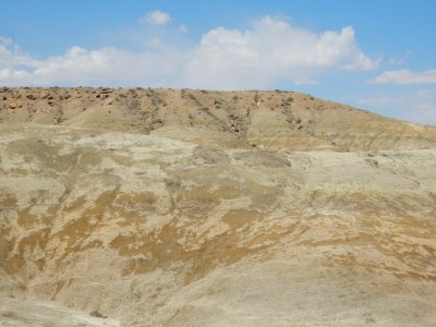 Kirtland Formation
