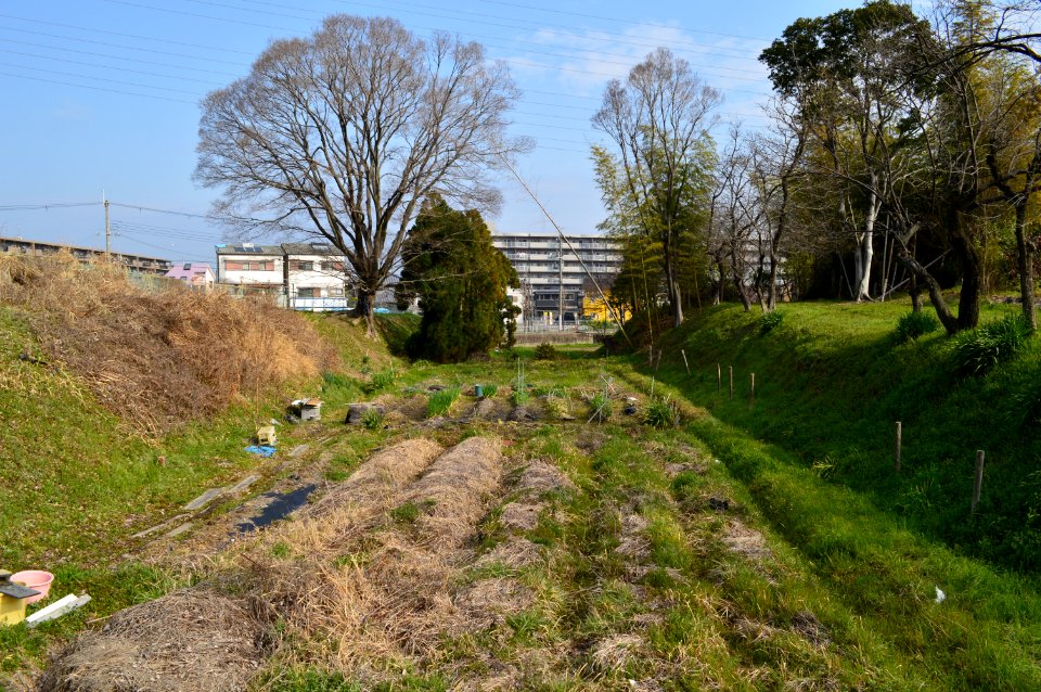 Kisabe Castle, hori-2