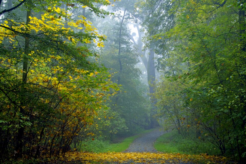 Magical climate autumn