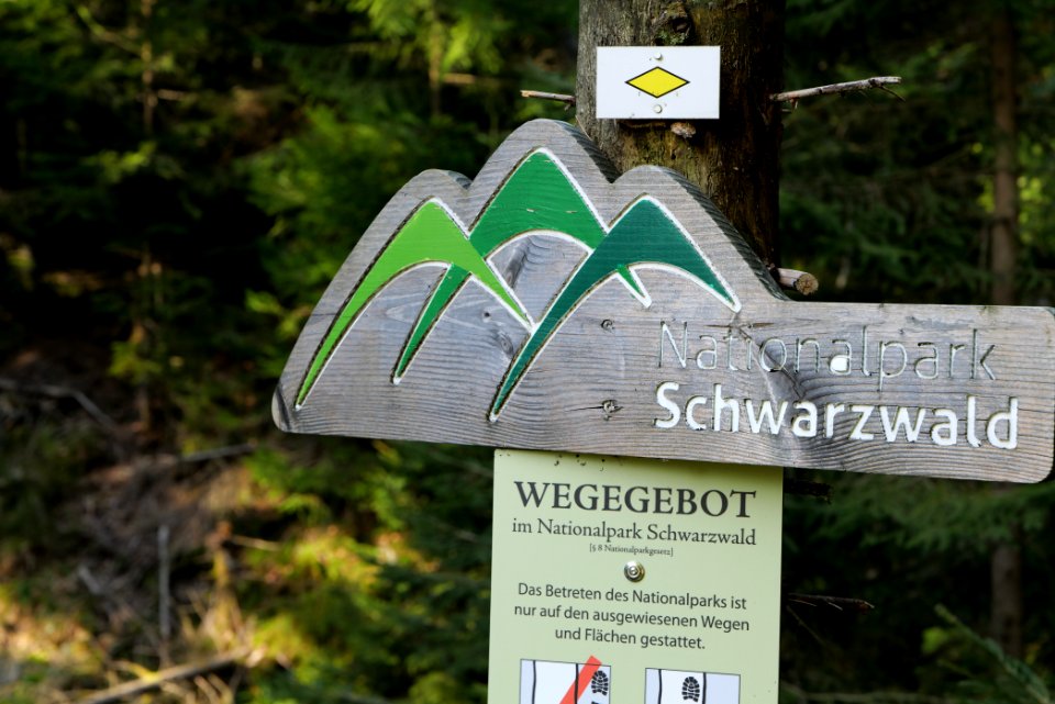 Kirchweg Northern Black Forest 2020-03-15 03