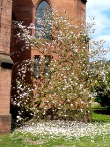 Kirche Weidenthal 05