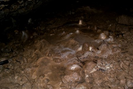 Kirchenweghöhle (C 17) 116