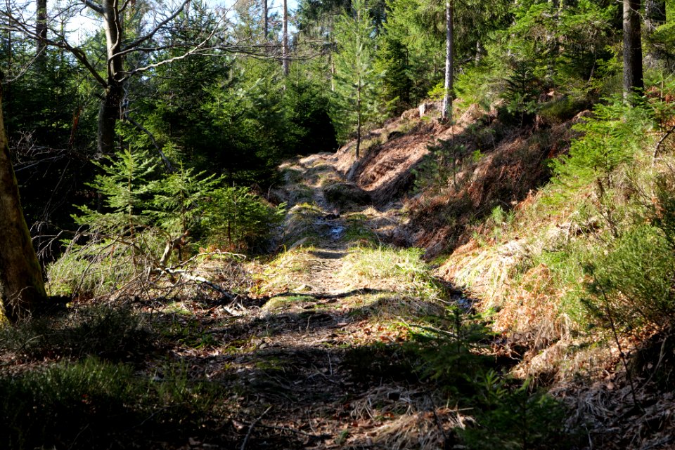 Kirchweg Northern Black Forest 2020-03-15 09