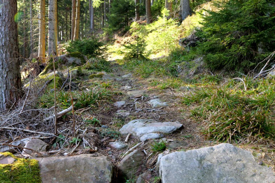 Kirchweg Northern Black Forest 2020-03-15 22