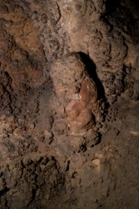 Kirchenweghöhle (C 17) 105