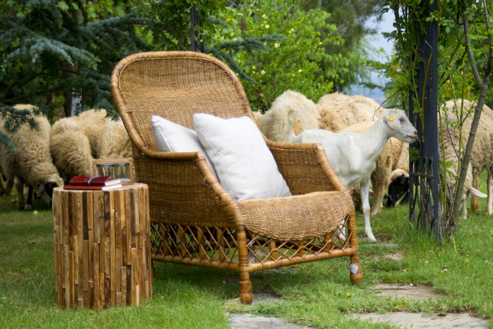 Farm chair armchair