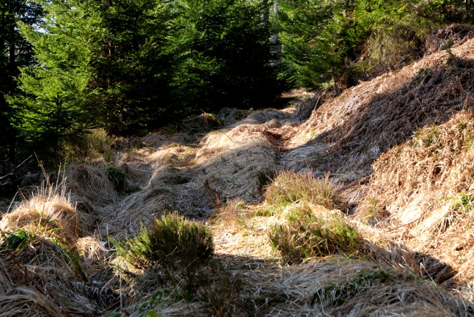 Kirchweg Northern Black Forest 2020-03-15 10