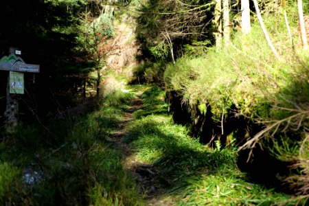 Kirchweg Northern Black Forest 2020-03-15 01