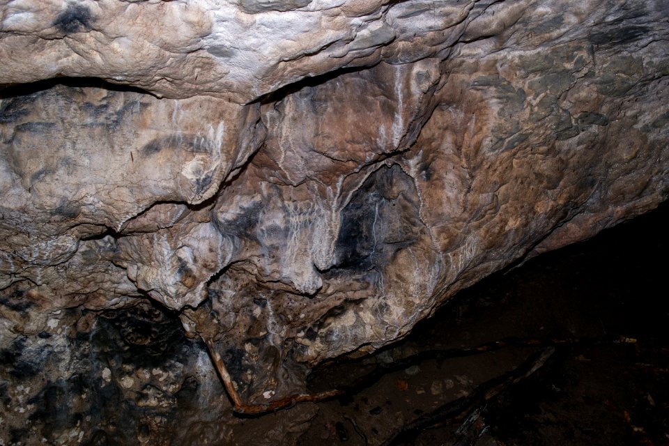Kirchenweghöhle (C 17) 018