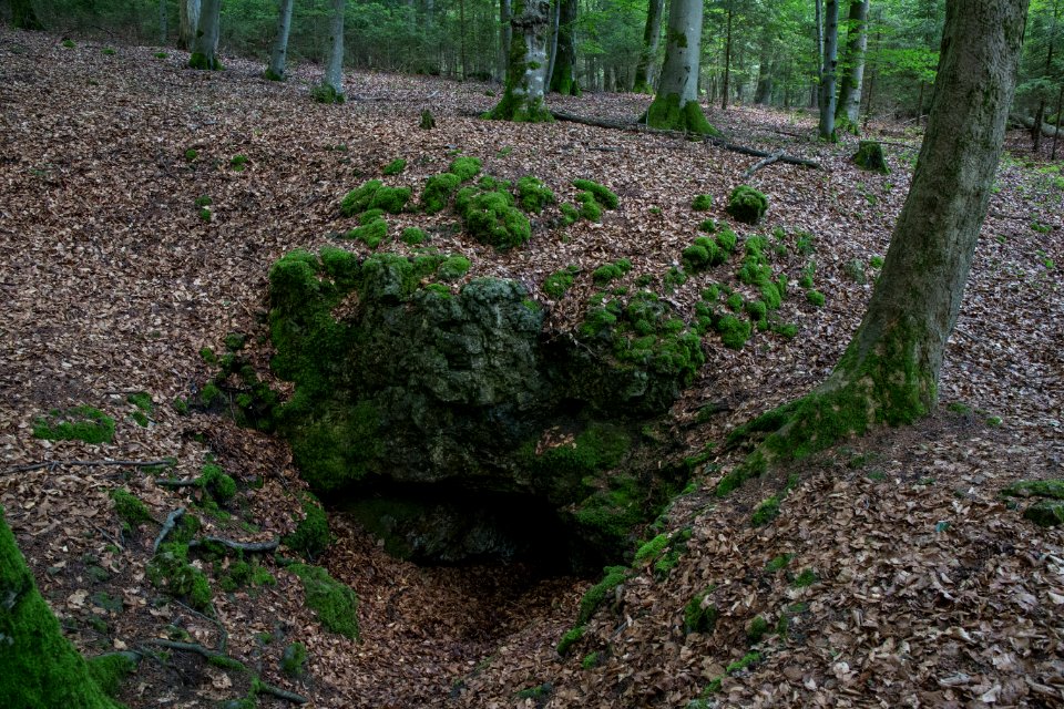 Kirchenweghöhle (C 17) 004