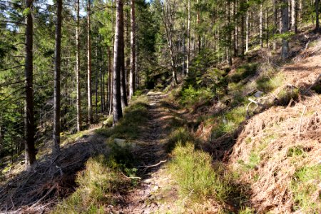 Kirchweg Northern Black Forest 2020-03-15 17