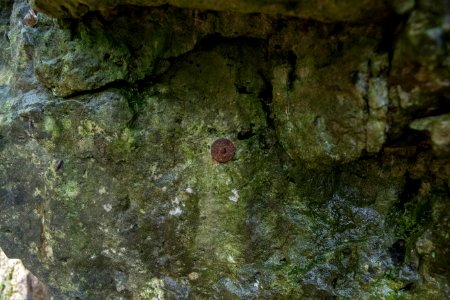 Kirchenweghöhle (C 17) 006