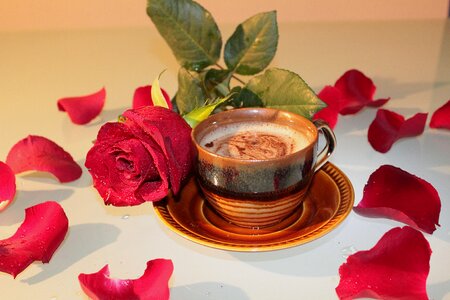 Foam drink petals