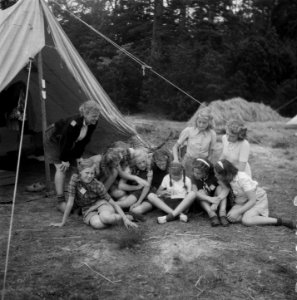 Kamp Nunspeet VCJC, Bestanddeelnr 902-9092
