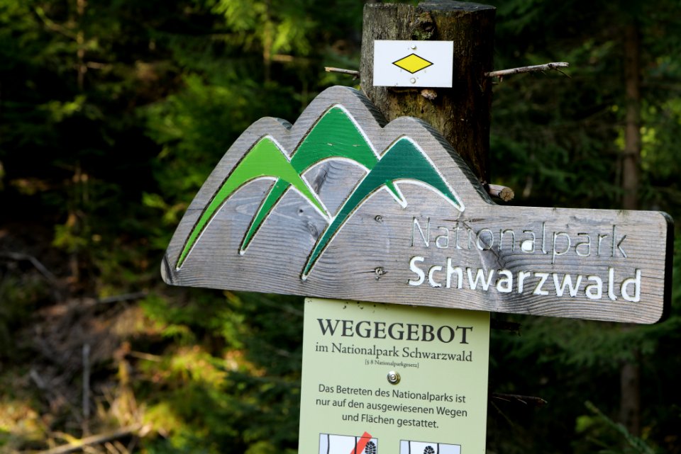 Kirchweg Northern Black Forest 2020-03-15 04