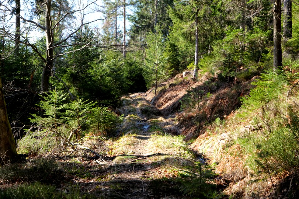 Kirchweg Northern Black Forest 2020-03-15 08