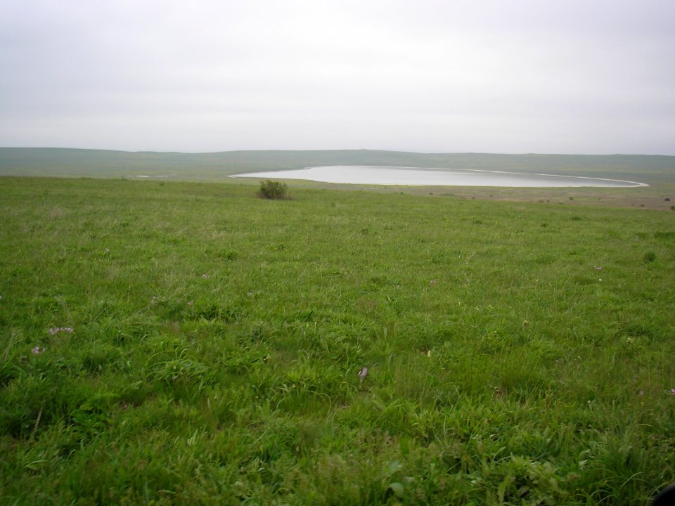 Kirkoyashskoe 1