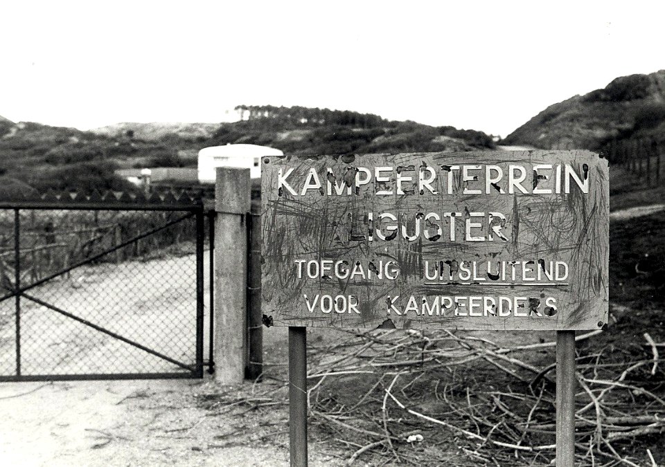 Kampeerterrein de Liguster in de Kennemerduinen. Aangekocht in 1977 van fotograaf C. de Boer. Identificatienummer 54-004871, NL-HlmNHA 54004871