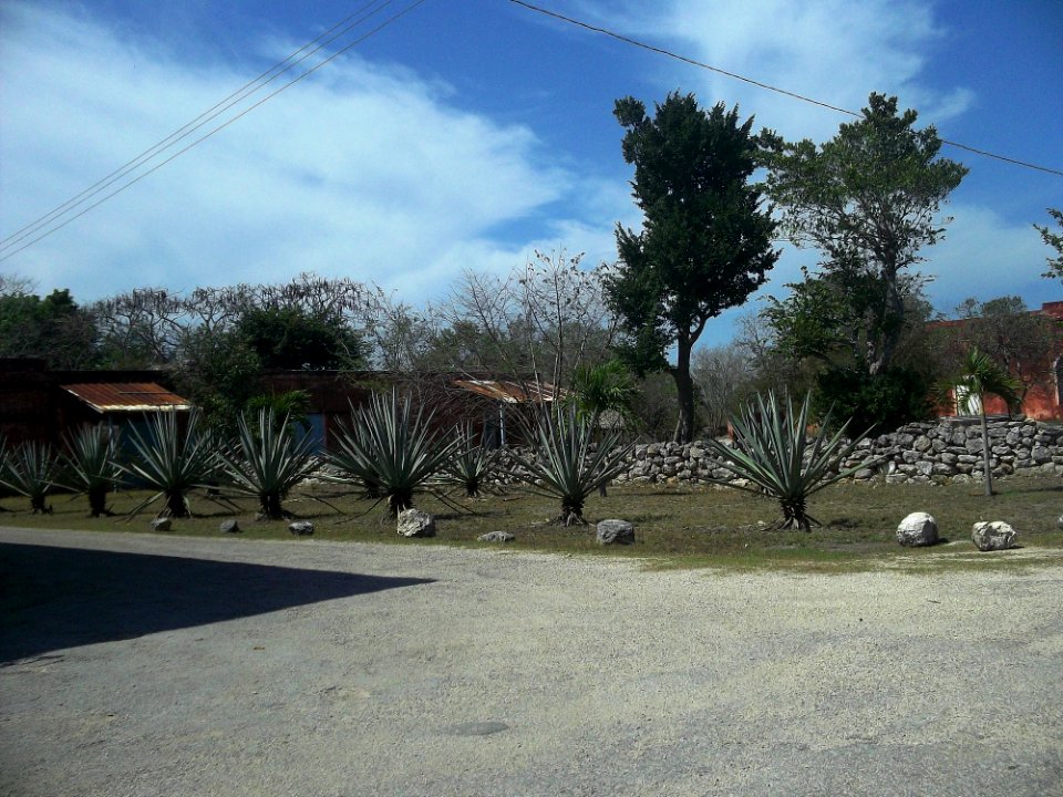 Kantoyná, Yucatán (08)