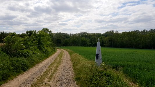 Kanne-Maastricht-Grenspaal 74 (BE-NL) (5)