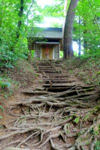 Kanzan-Tenmangu Shrine - Chusonji, Hiraizumi, Iwate - DSC04982