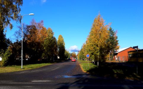 Kansipojantie Oulu 20181007