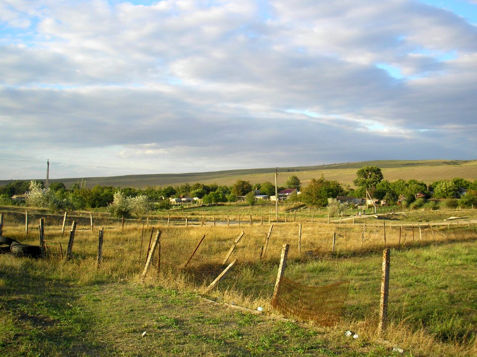 Kamishinka 6