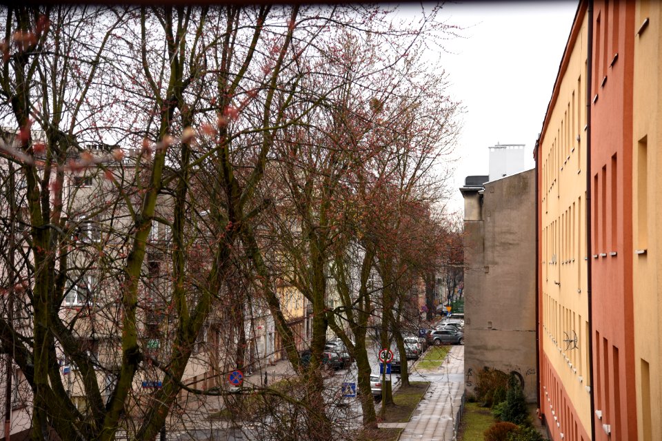 Kaminskiego street, Lodz March 2019