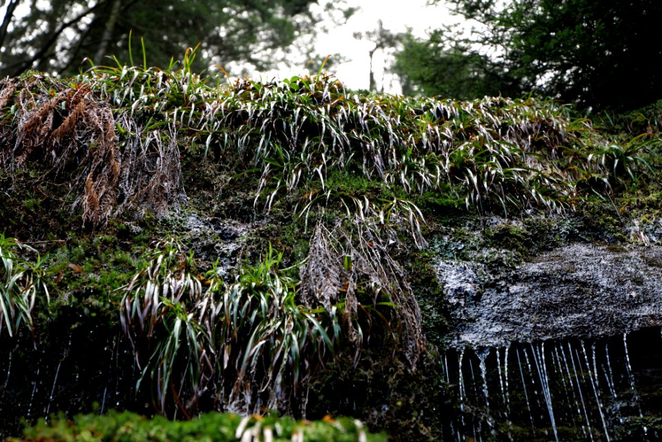 Kammerloch waterfall 2020-03-11 51
