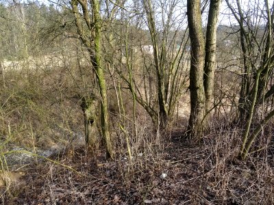 Kamieniec grodzisko5 3-2018
