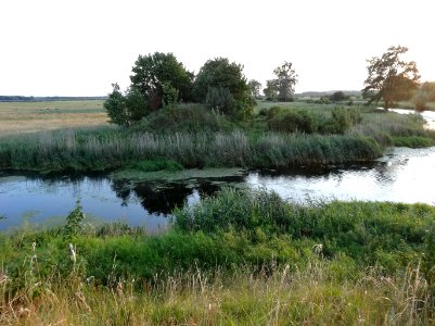 Kanal Notecki Lochowo aa1 07-2014