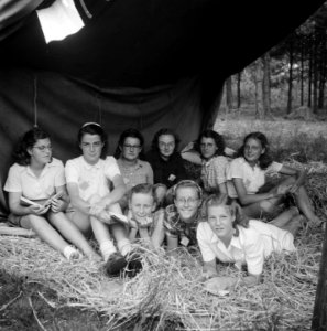 Kamp Oirschot meisjes VCTC, Bestanddeelnr 902-8978
