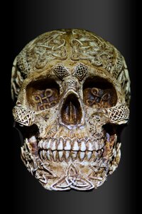 Skull and crossbones celts celtic skull photo