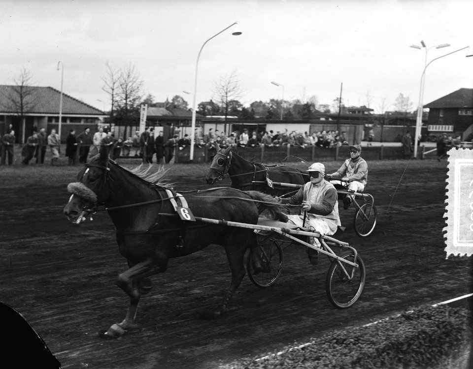 Kampioen van Nederland, dames-pikeurs Hilversum, kampioen mevrouw Hamming Woldij, Bestanddeelnr 906-8035