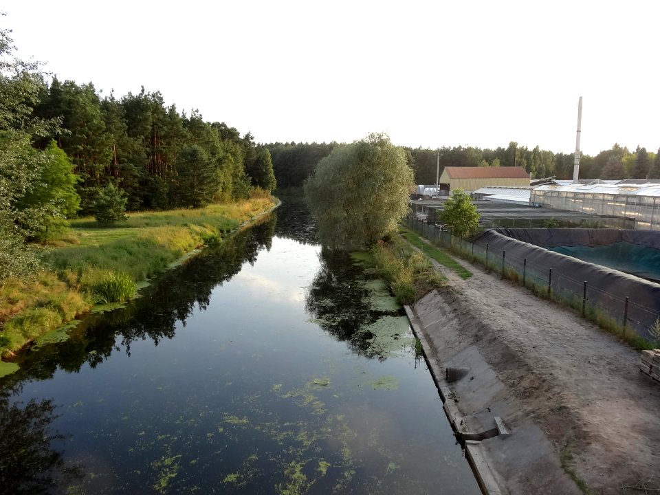 Kanal Notecki Lochowo 2a 07-2014