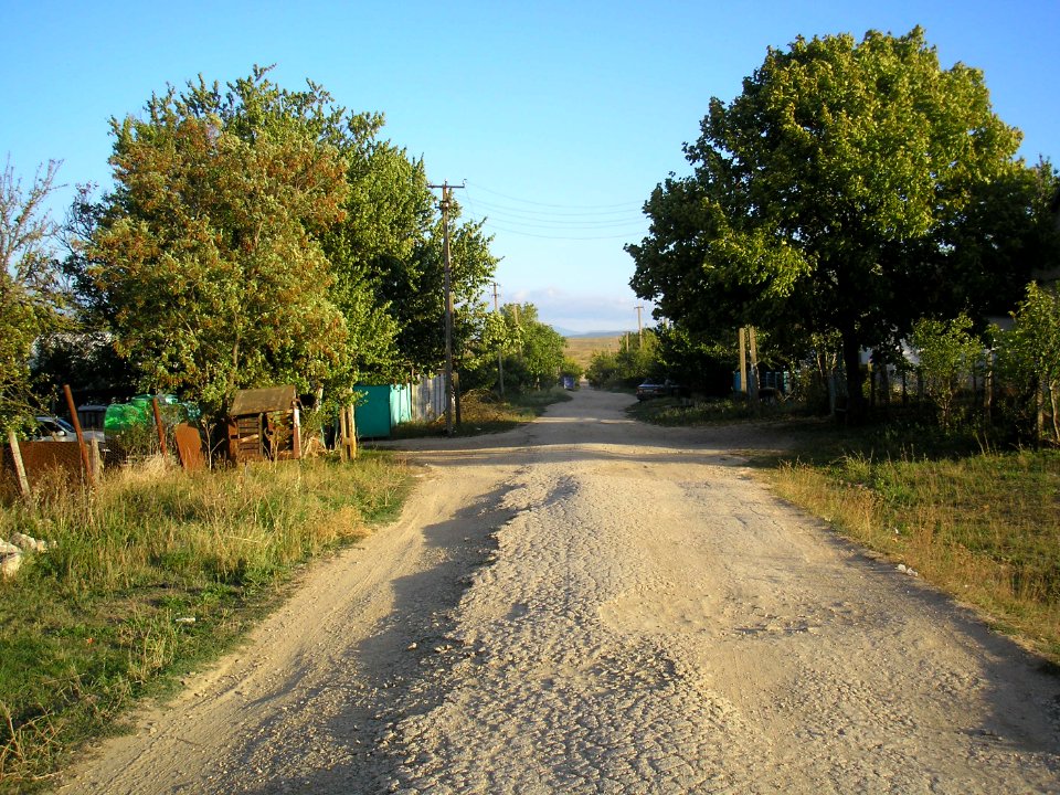 Kamishinka 7