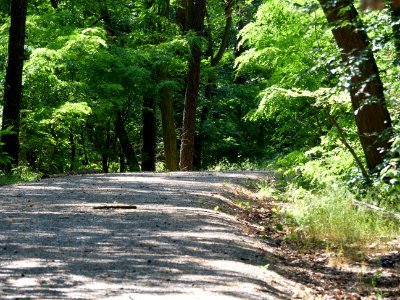 Kammweg Müggelberge 2019-06-13 02 photo