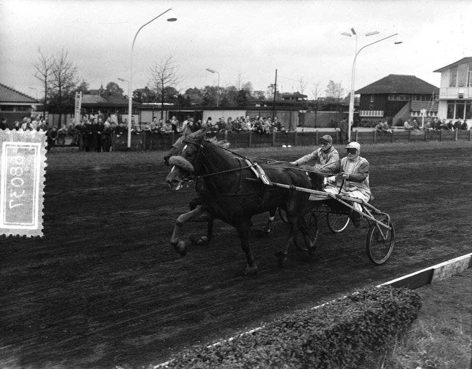 Kampioen van Nederland, dames-pikeurs Hilversum, kampioen mevrouw Hamming Woldij, Bestanddeelnr 906-8037