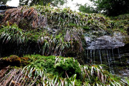 Kammerloch waterfall 2020-03-11 52