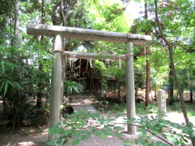 Kamigoryo-jinja 040
